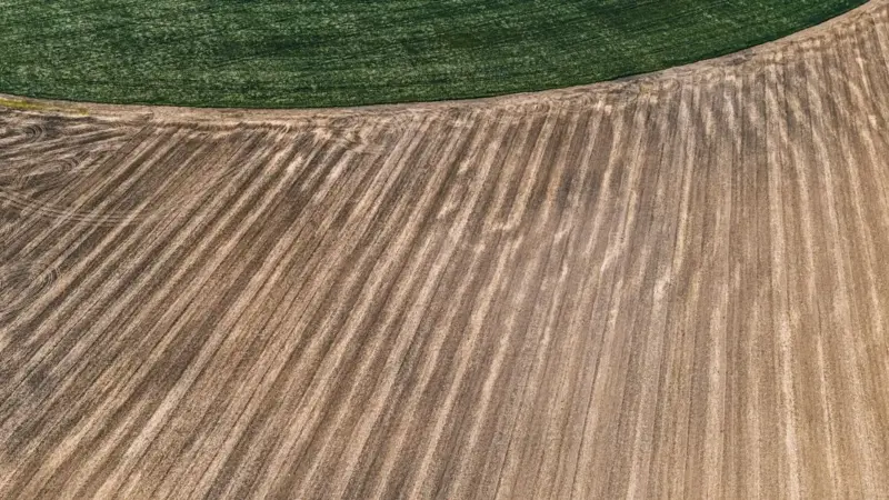 I colossi del cibo firmano un patto per la terra