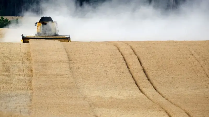 Un terzo delle emissioni globali arriva dal cibo