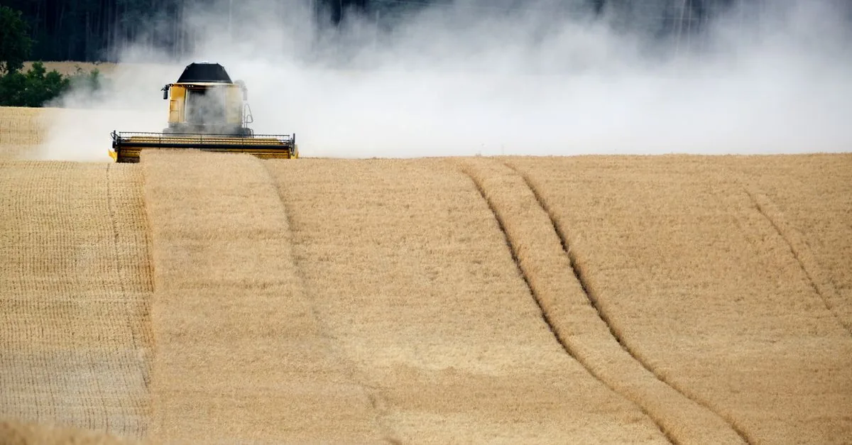 Un terzo delle emissioni globali arriva dal cibo