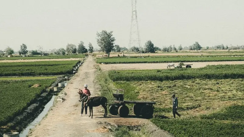 A un secolo di distanza, l'acqua affama ancora la California
