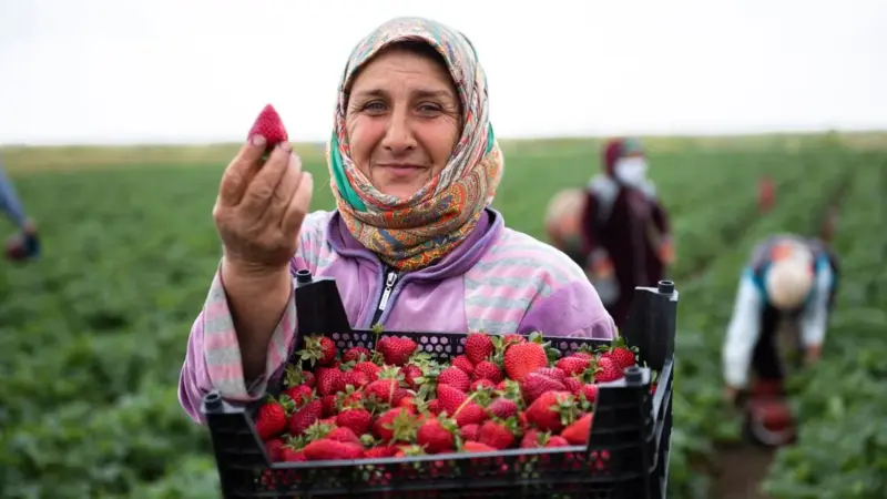 Adopt-a-Farmer ha reso concreto il reddito garantito