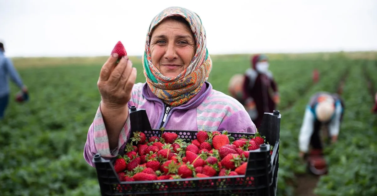 Adopt-a-Farmer ha reso concreto il reddito garantito