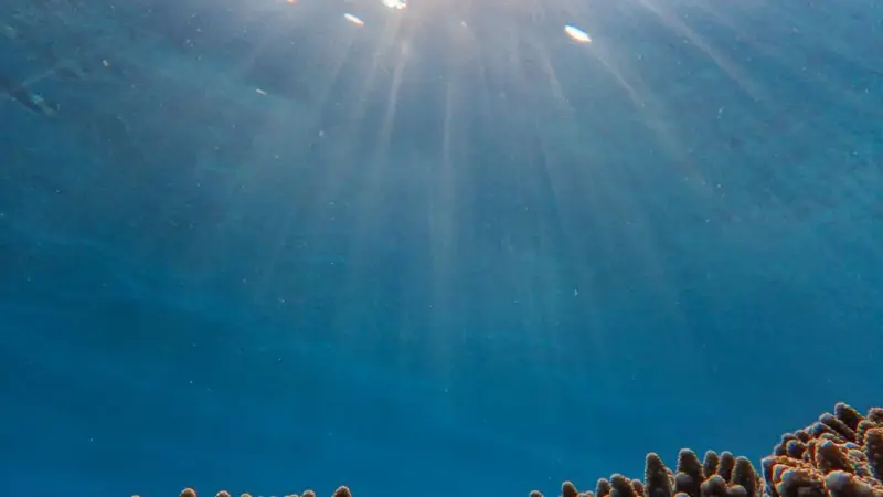 Attenborough scommette sull'oceano per salvare il clima
