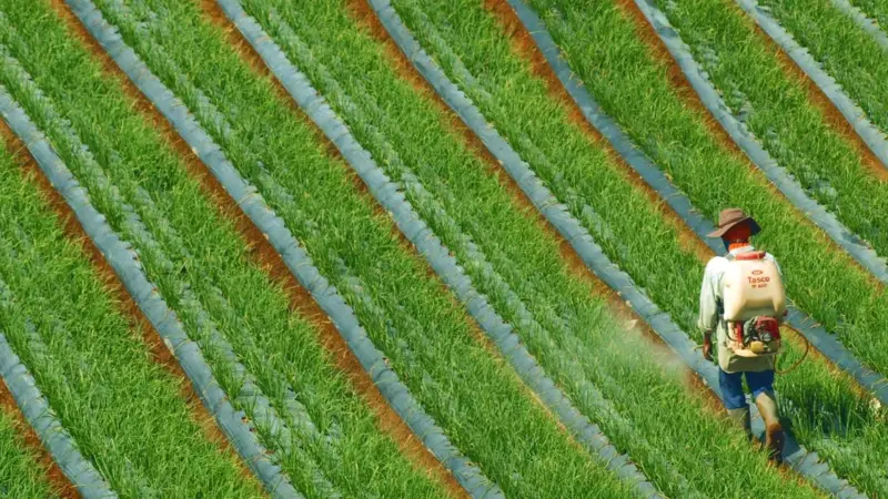 Bayer ha pagato miliardi per un erbicida senza etichetta