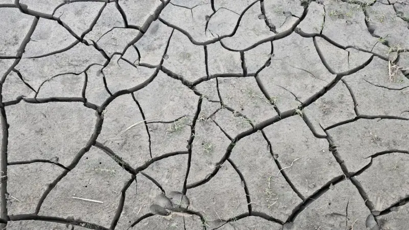Distruggere la natura sta diventando carissimo