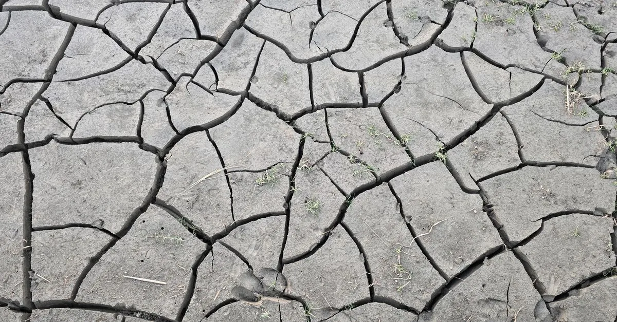 Distruggere la natura sta diventando carissimo