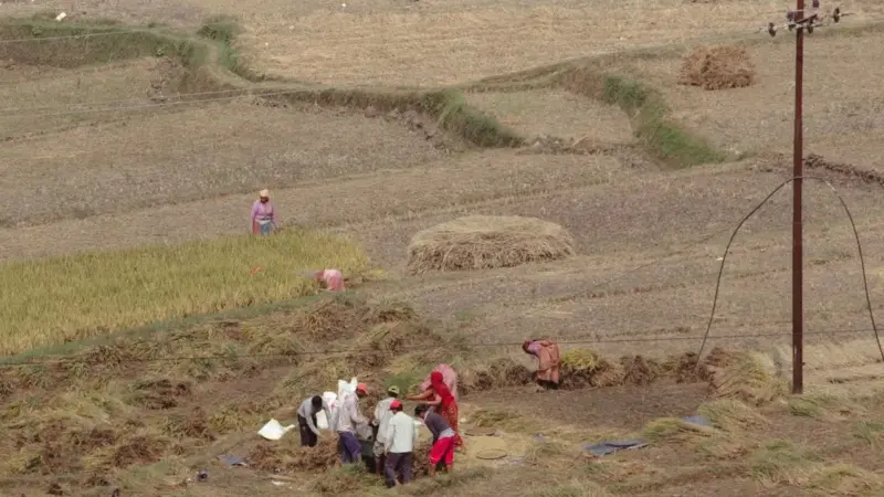 Gli agricoltori insegnano davvero ad altri agricoltori
