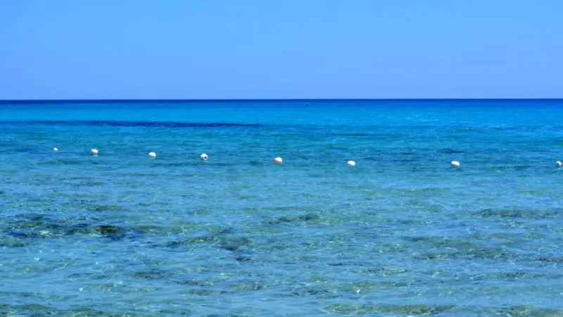 Gli oceani hanno battuto un nuovo record di calore