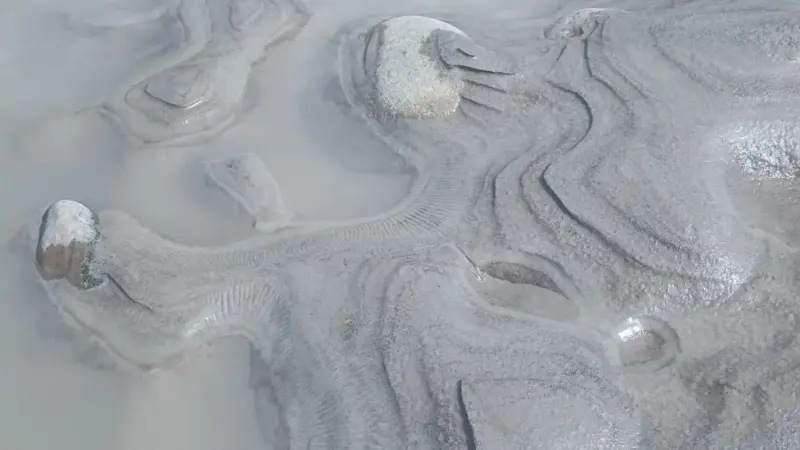 I serbatoi di carbonio nascosti sono più grandi del previsto