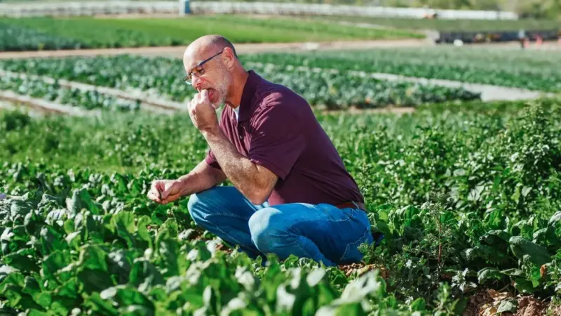 Il bollino bio non dice tutto