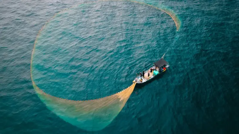 Il Bycatch Reduction Act non aiuta il salmone