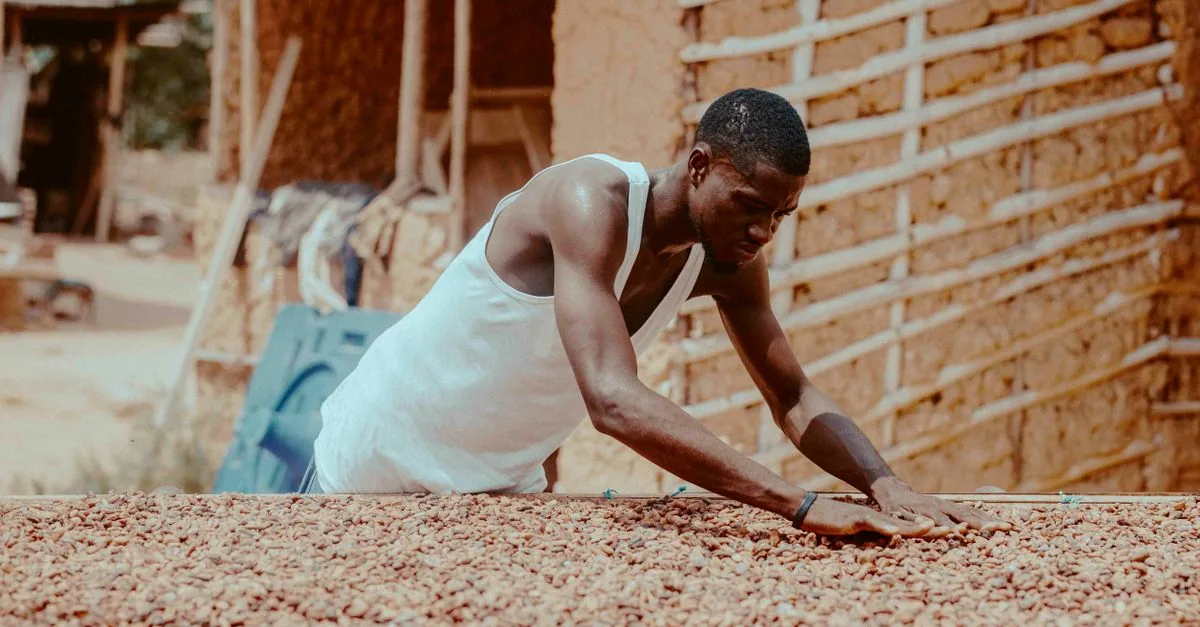 Il cacao vola a undicimila dollari a tonnellata