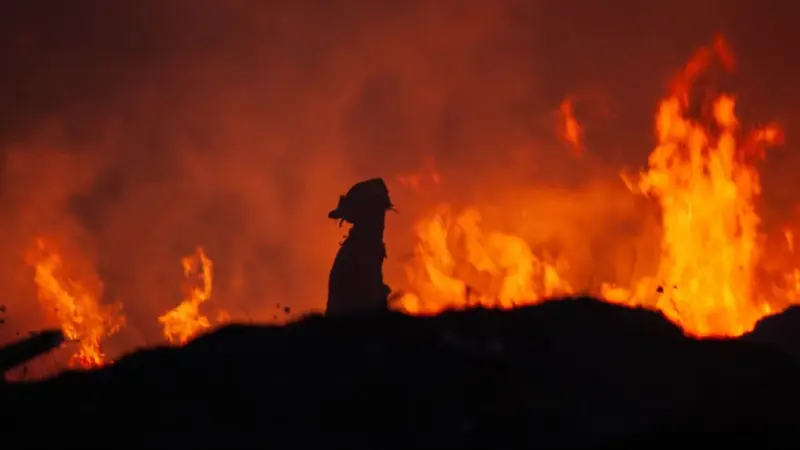 Il caldo e il fumo degli incendi uccidono insieme