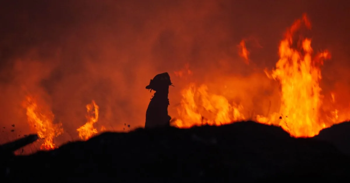 Il caldo e il fumo degli incendi uccidono insieme