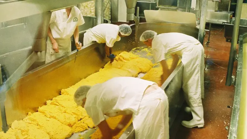Il formaggio che mangi è nato in laboratorio