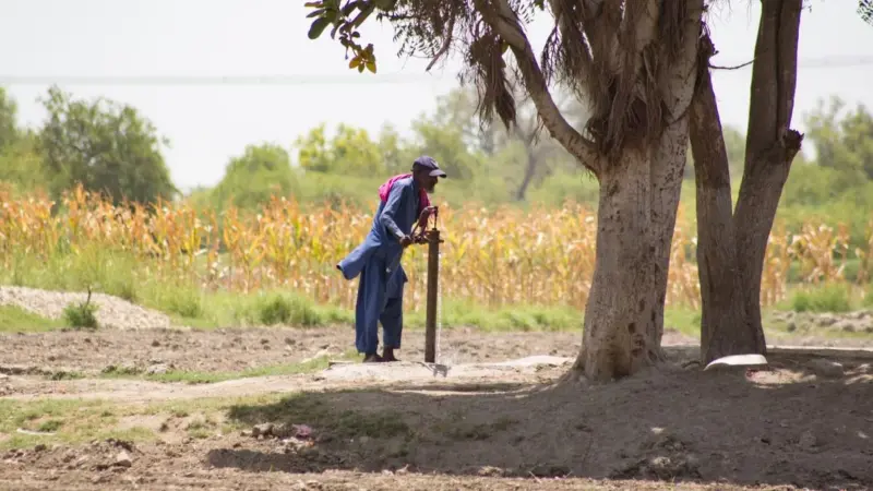 Il Kenya ha chiesto ai privati di pagare per l'agricoltura