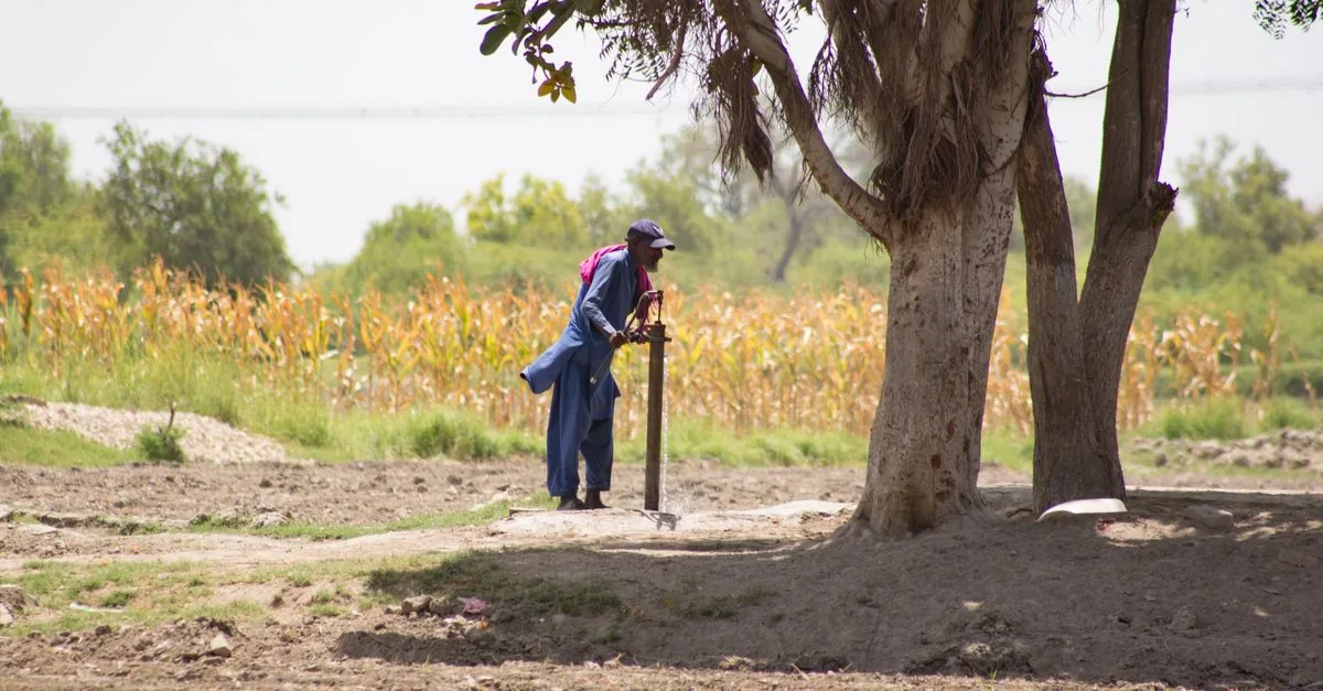 Il Kenya ha chiesto ai privati di pagare per l'agricoltura