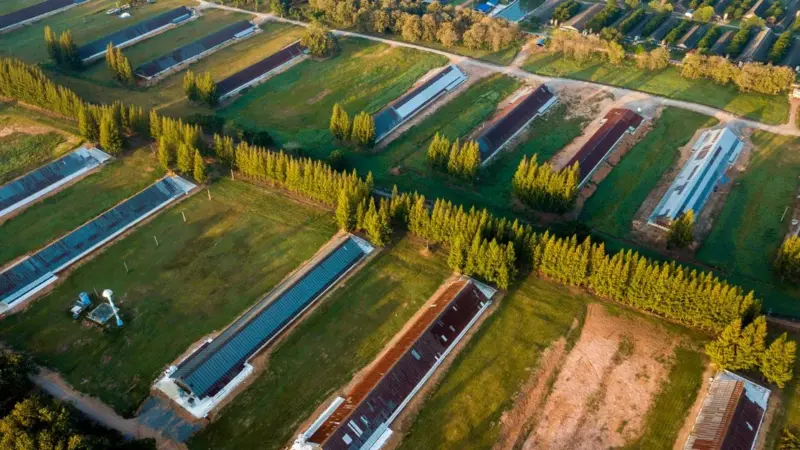 Il Piemonte ha chiuso le porte ai pannelli solari in campagna