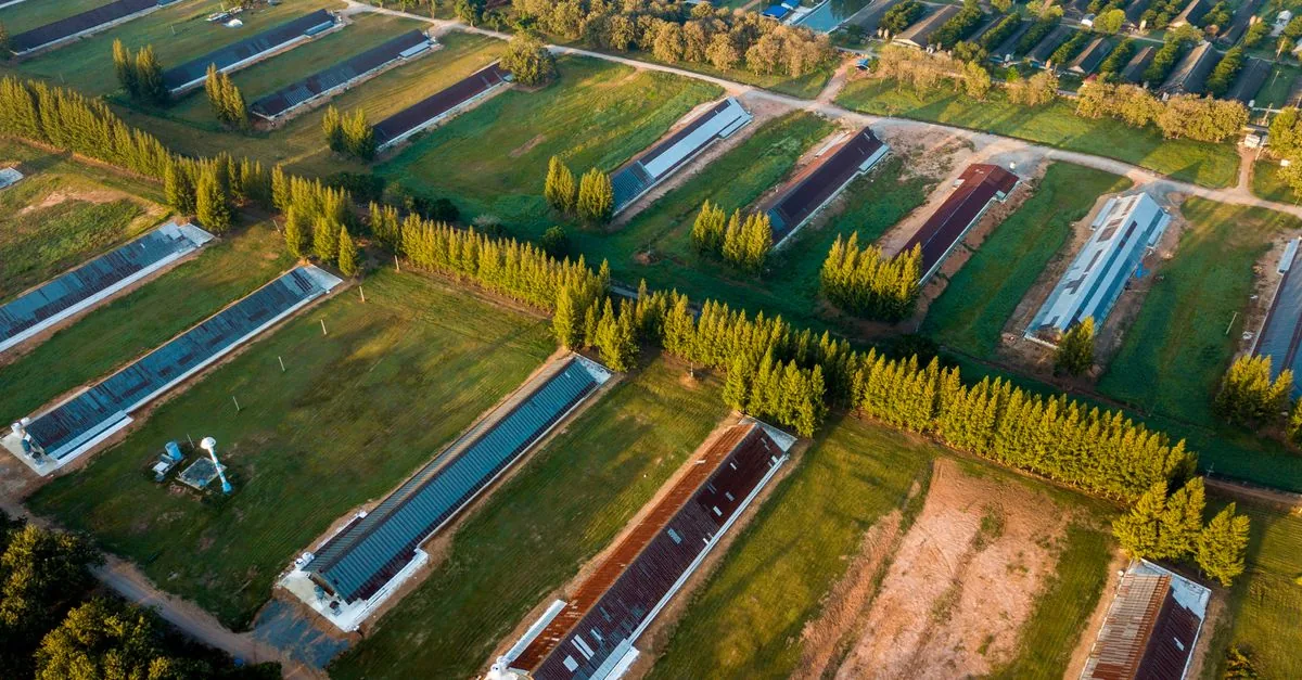 Il Piemonte ha chiuso le porte ai pannelli solari in campagna
