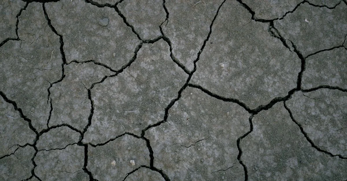 Il suolo scompare a 36 miliardi di tonnellate l'anno