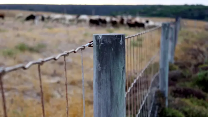 Il Wyoming prova i recinti senza fili