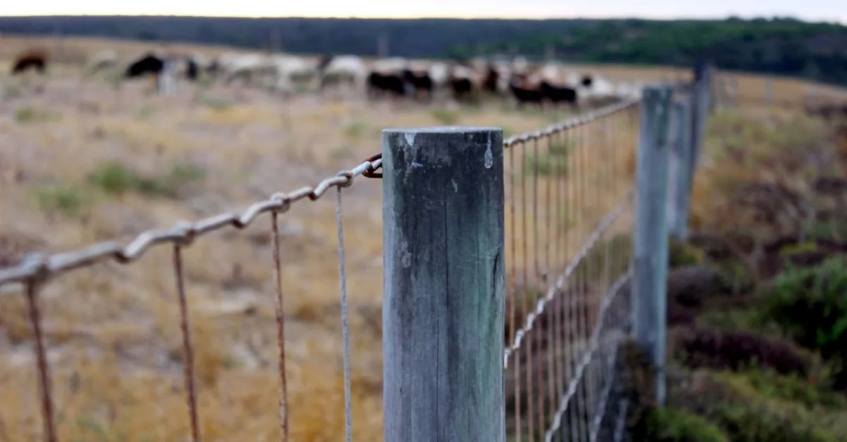 Il Wyoming prova i recinti senza fili