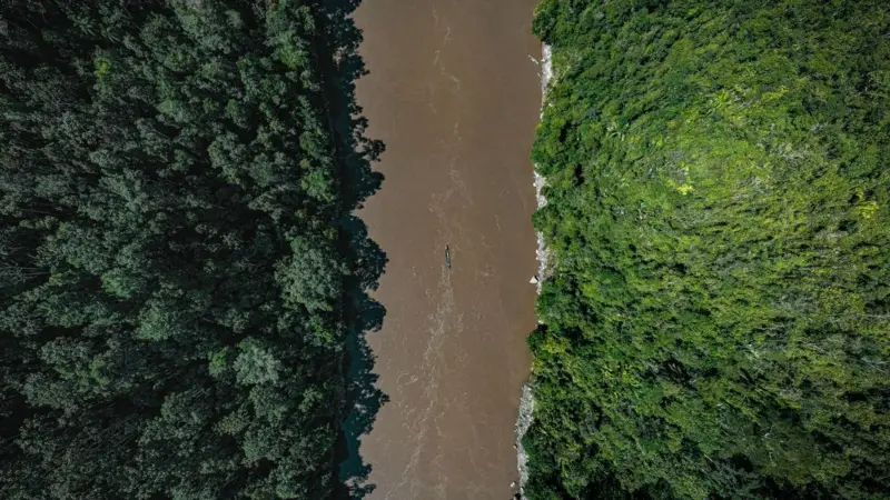 La deforestazione in Amazzonia è calata del 33,6%