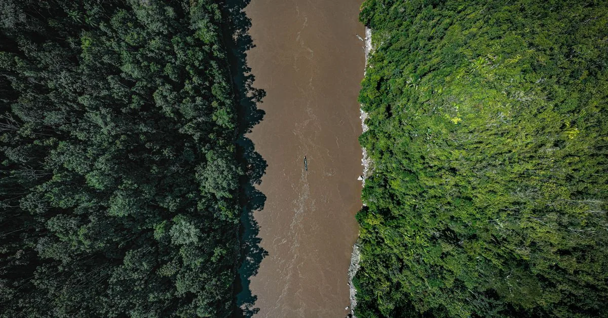 La deforestazione in Amazzonia è calata del 33,6%