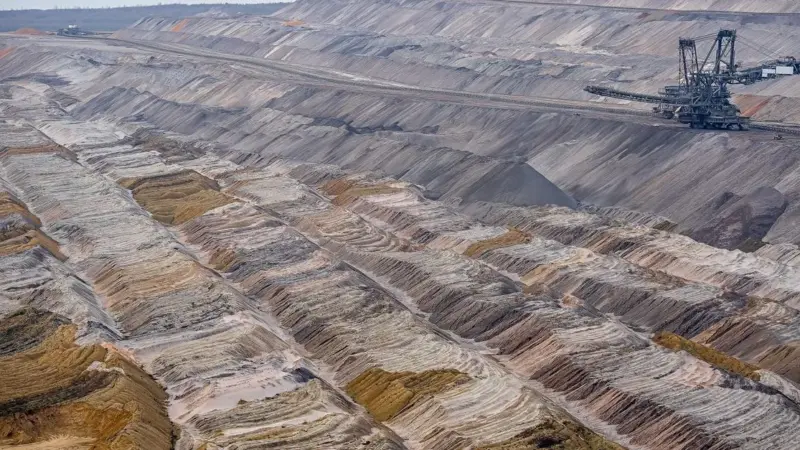 La fama social ha messo a rischio una rana del deserto