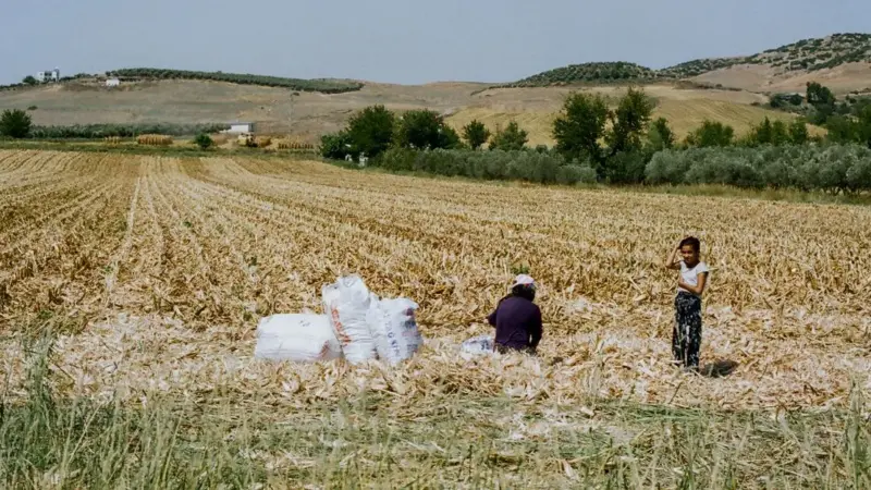 La FAO ha parlato di agricoltura intelligente per quattordici anni