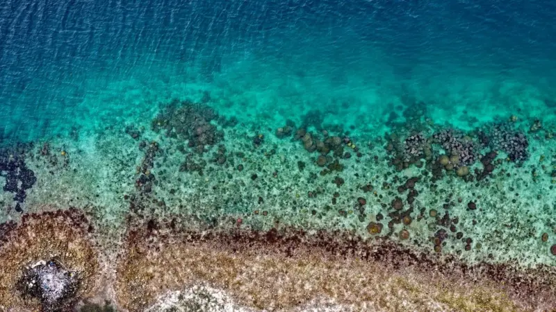 La miniera Wafi-Golpu inquinerà il Golfo di Huon