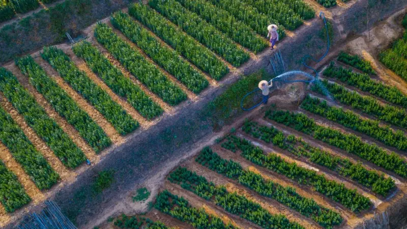 La Pennsylvania ha 25.000 dollari per gli agricoltori