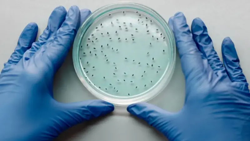 La plastica sta aiutando i batteri a diventare più forti