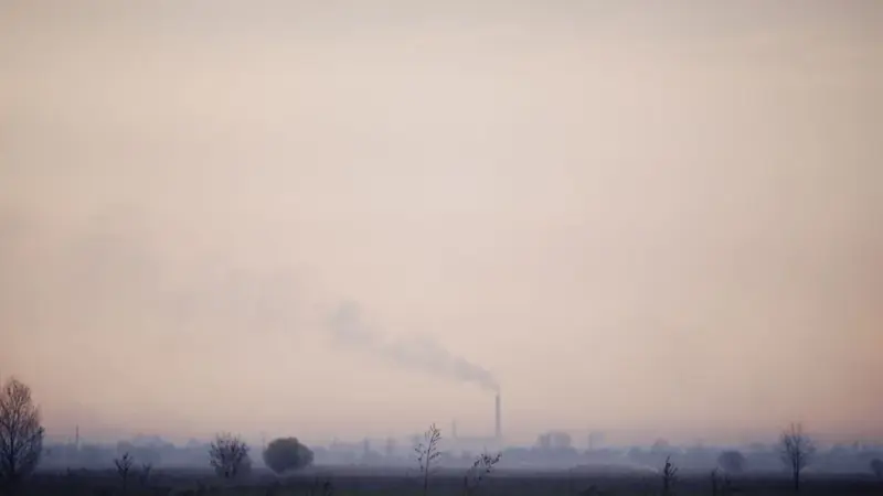La rimozione del carbonio ha un costo nascosto