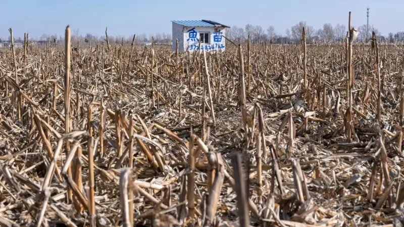 La Spagna non ha ancora una legge per l'agrivoltaico