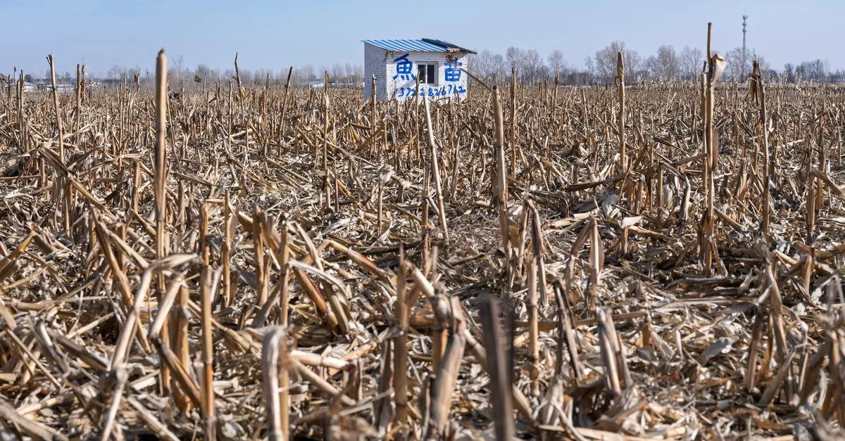 La Spagna non ha ancora una legge per l'agrivoltaico