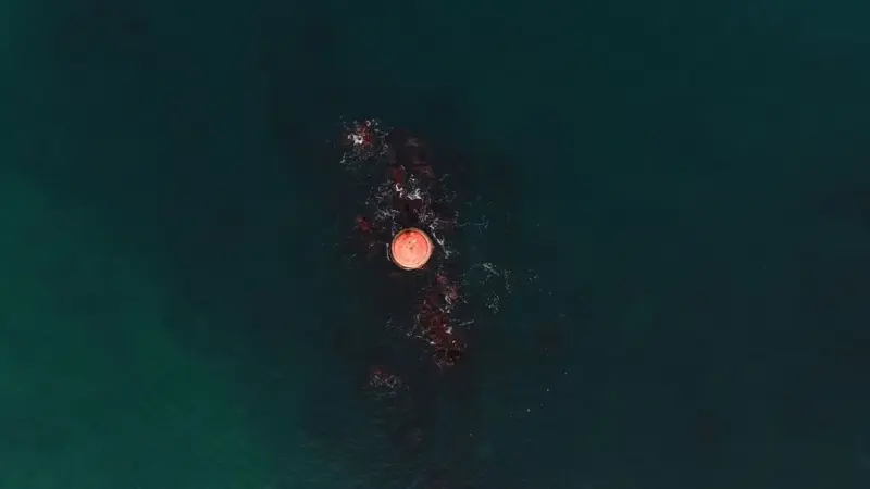 La temperatura media del mare ha superato ogni record
