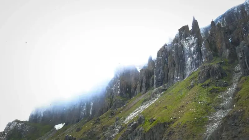 L'airone rosso ha scalato la montagna