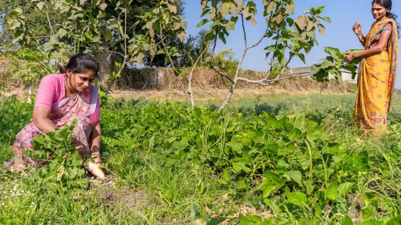 L’Andhra Pradesh ha vinto il premio ambientale più ricco del mondo