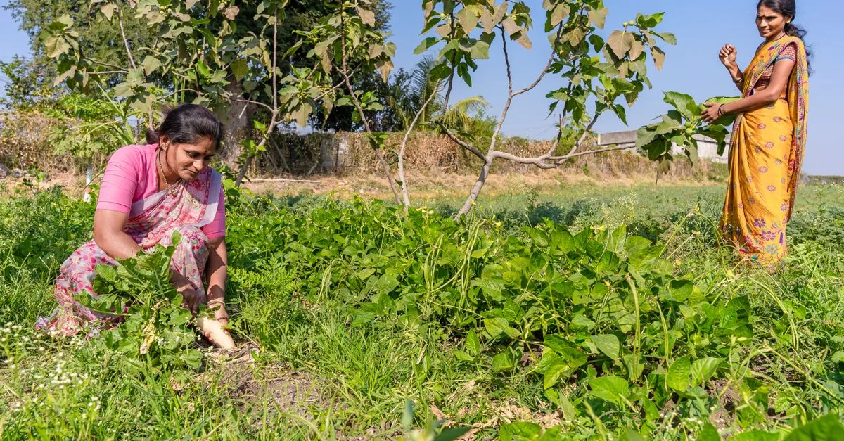 L’Andhra Pradesh ha vinto il premio ambientale più ricco del mondo