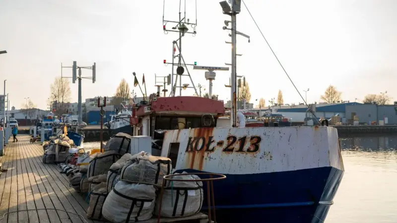 L'Australia ha dichiarato guerra ai cetrioli di mare