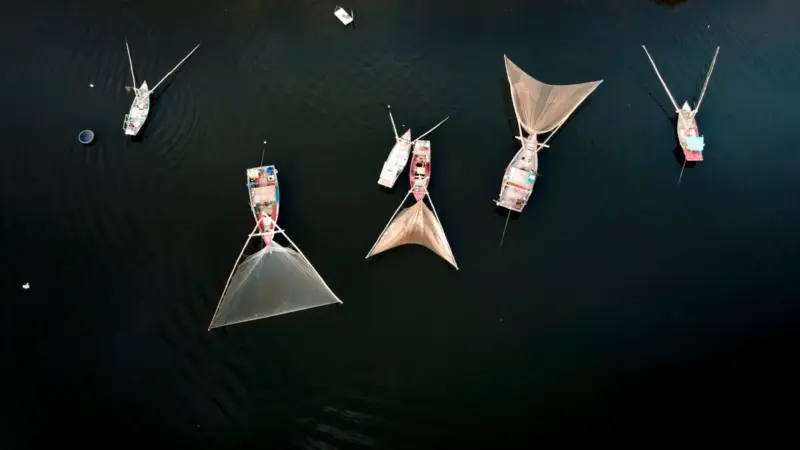 Le berte minori sono morte annegate nelle reti da pesca