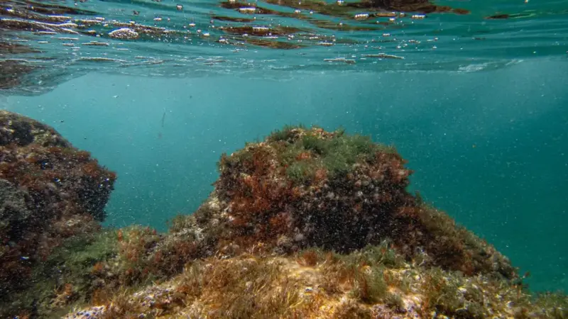 Le mappe del mare italiano erano vecchie di trent'anni