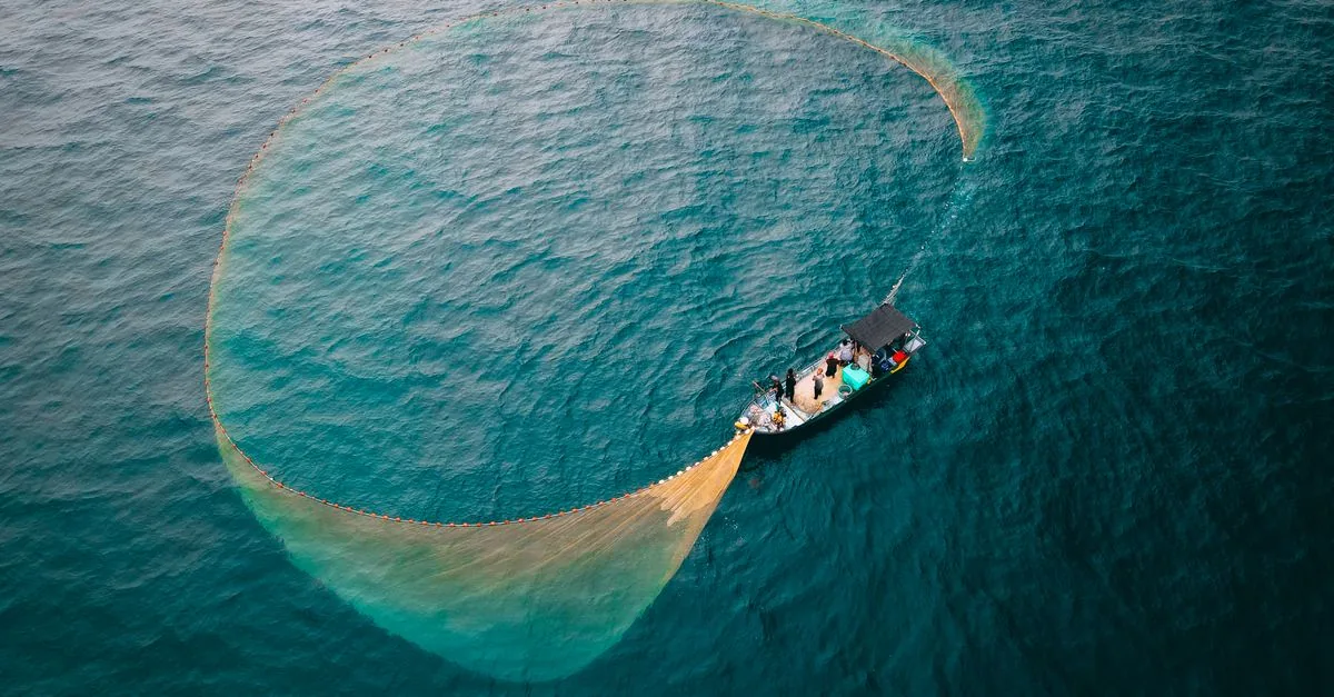 Le reti derivanti continuano a uccidere delfini