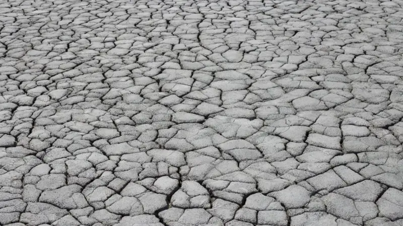 L'estate in cui il caldo ha ucciso e la politica ha smantellato gli aiuti