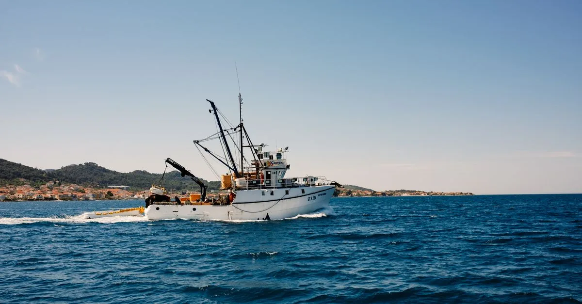 L'ue ha ridotto del 90% i fondi per gli oceani