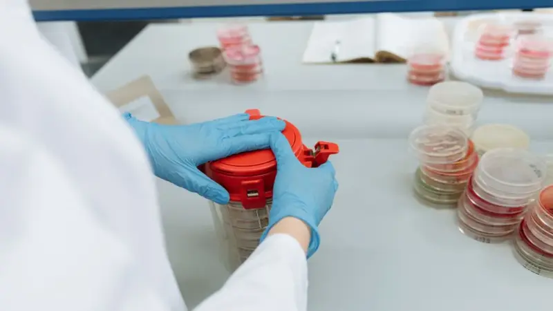 Nei Paesi Bassi parte il primo allevamento di carne coltivata