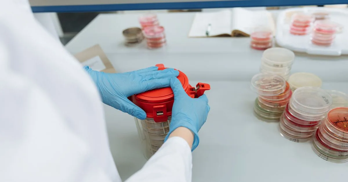 Nei Paesi Bassi parte il primo allevamento di carne coltivata