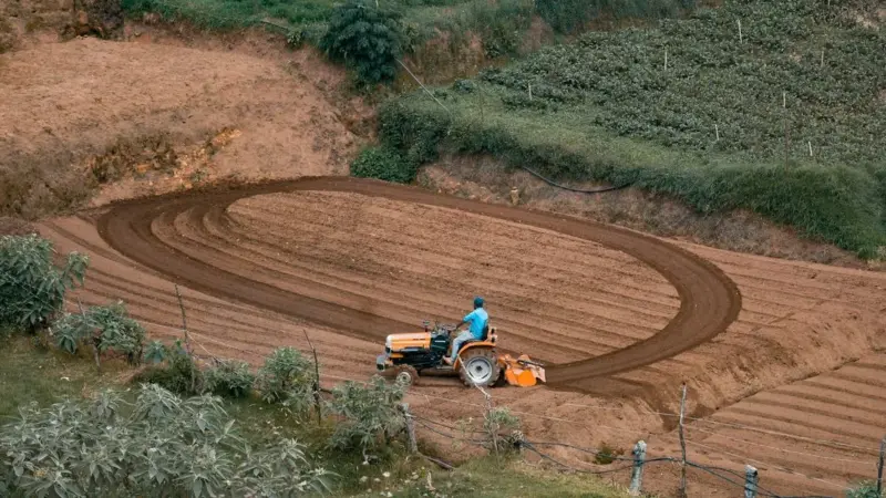 Pagare 3.500 dollari per imparare a fare l'agricoltore