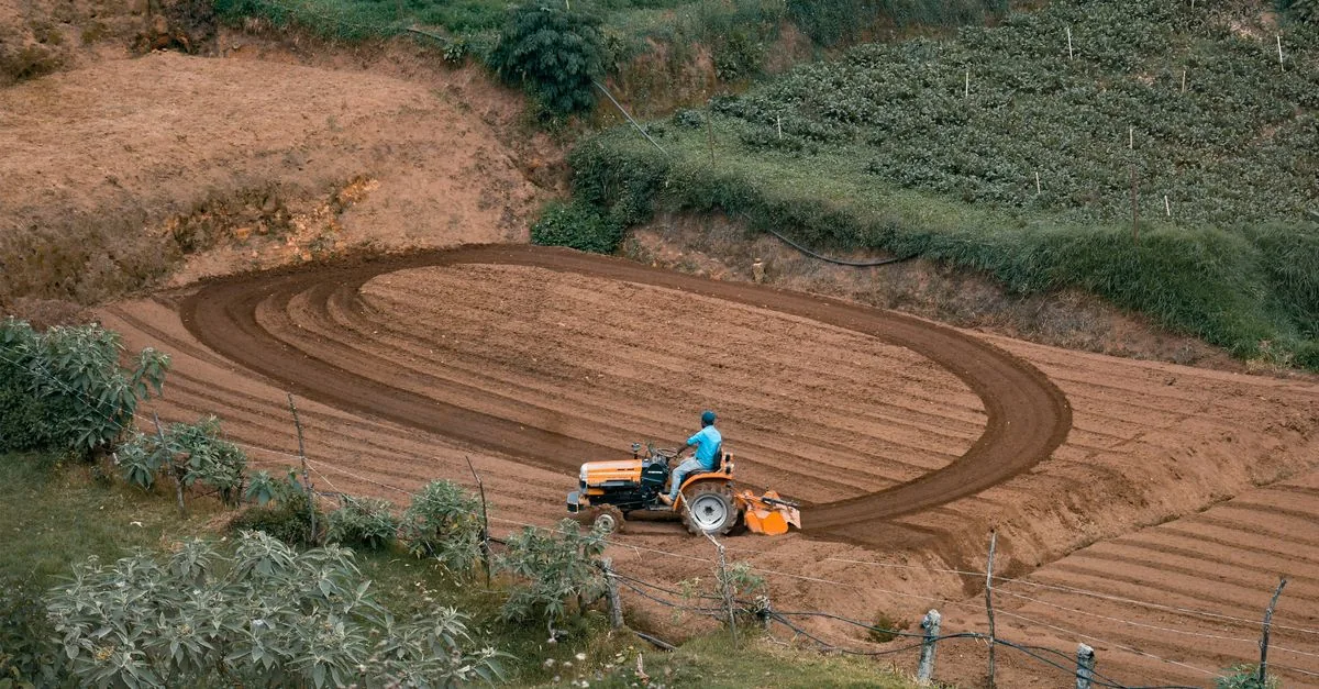 Pagare 3.500 dollari per imparare a fare l'agricoltore